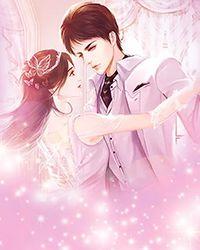 神医王妃别招惹南璃萧景煜